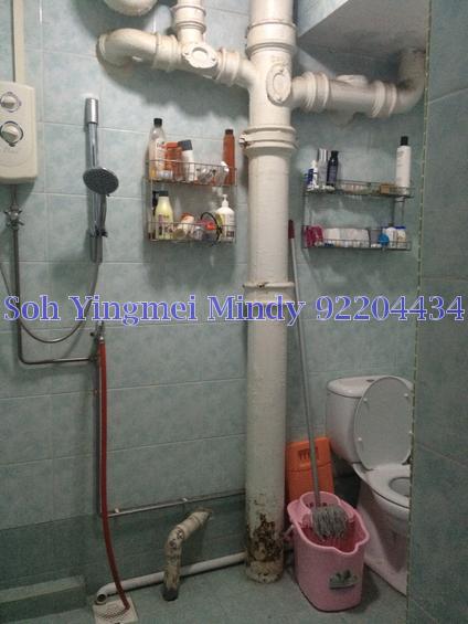 Blk 357 Clementi Avenue 2 (Clementi), HDB 5 Rooms #81944092